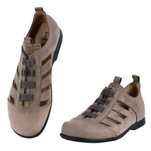 Gavilán / Gavilán de verano