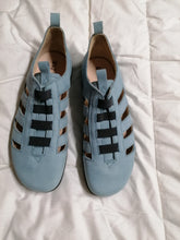 Gavilán / Gavilán de verano