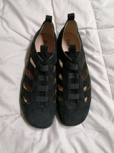 Gavilán / Gavilán de verano