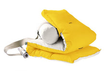 South Sea Royal Edition