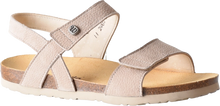 Air Danubia